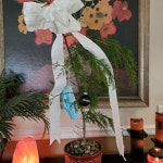 Andies Closet (@andie6294) | Poshmark Andies Closet