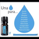 Sonias Closet (@soniaislan) | Poshmark Sonias Closet