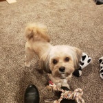 Eddies Closet (@eeburt5) | Poshmark Eddies Closet