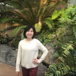 Maggies Closet (@maggiesjoy2) | Poshmark Maggies Closet