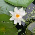 Julias Closet (@jlaplaza) | Poshmark Julias Closet