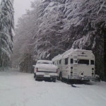 Rose marys Closet (@umpquatrade) | Poshmark Rose marys Closet