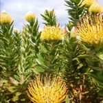 Belles Closet (@bellee93) | Poshmark Belles Closet