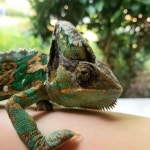 Mikalahs Closet (@mikalah_welch16) | Poshmark Mikalahs Closet