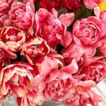 Kates Closet (@klk7225) | Poshmark Kates Closet