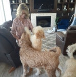 Barbaras Closet (@norelle87) | Poshmark Barbaras Closet