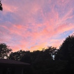 Ts Closet (@tsrolleston) | Poshmark Ts Closet