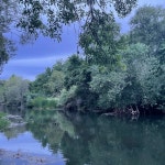 Gabys Closet (@gabyyy444) | Poshmark Gabys Closet