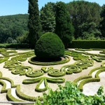 Cris Closet (@cfj1228) | Poshmark Cris Closet