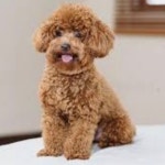 Southerns Closet (@southernmom05) | Poshmark Southerns Closet