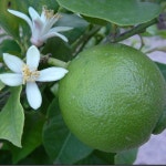 About @kara4488 - Poshmark