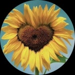 Odalis Closet (@odalisshop) | Poshmark Odalis Closet