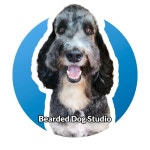 Billys Closet (@divernfl) | Poshmark Billys Closet