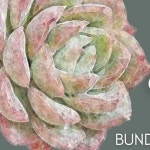 Susanas Closet (@susana008) | Poshmark Susanas Closet