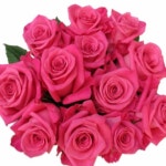 Kims Closet (@kim6673) | Poshmark Kims Closet