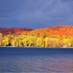 Mel 🌟s Closet (@kosti19) | Poshmark Mel 🌟s Closet