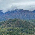 Saras Closet (@breakdown419) | Poshmark Saras Closet