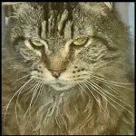 Melissas Closet (@gemsforall) | Poshmark Melissas Closet