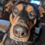 Sarahs Closet (@samcat5497) | Poshmark Sarahs Closet