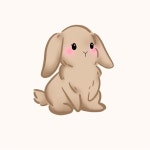 Isabelles Closet (@isg2797) | Poshmark Isabelles Closet