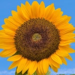 Fs Closet (@torrin505) | Poshmark Fs Closet