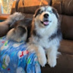 Sarahs Closet (@chenerysdeals) | Poshmark Sarahs Closet