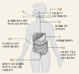 금성출판사 :: 티칭백과