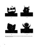 General-purpose heat source safety verification test series: SVT-11 through SVT-13 - Page 19 of 29 - UNT Digital Library General...