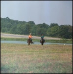[Two People Riding Horses] - UNT Digital Library [Two People Riding Horses]