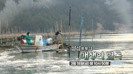 동아일보