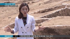 동아일보