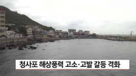 동아일보