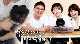동아닷컴