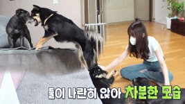 동아일보