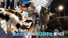 동아일보