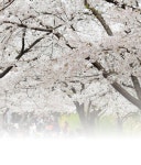 동아닷컴