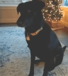 후다닥.gif - 도깨비 뉴스