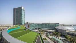 edu+｜동아일보