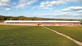 골든걸｜동아일보