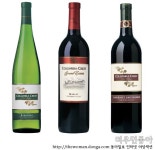 웰그린라들러오퍼스원와인 | 오퍼스원 양조자가 만든 매스티지 와인은 뭘까?|동아일보 오퍼스원 양조자가 만든 매스티지 와인은 뭘까?