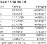 국내 유통기업 4곳 ‘글로벌 톱 250’ 올라｜동아일보 국내 유통기업 4곳 ‘글로벌 톱 250’ 올라