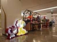 프리미엄 반려동물 브랜드 펫키즈, 1일부터 스타필드 코엑스몰서 팝업스토어｜동아일보 프리미엄 반려동물 브랜드 펫키즈, 1일부터 스타필드...