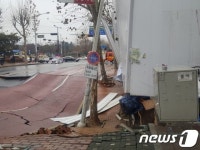 고양 백석동서 20m 길이 도로침하…‘공포의 도로’ 또 땅꺼짐