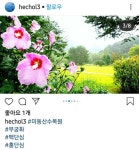 “삼천리 강산에 우리나라 꽃~”…마스크 쓴 시민들 사로잡은 무궁화[청계천 옆 사진관]｜동아일보 “삼천리 강산에 우리나라 꽃~”…마스크 쓴... 