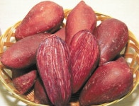 찰진 황토서 자라 달콤한 웰빙 간식｜동아일보 찰진 황토서 자라 달콤한 웰빙 간식