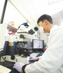 ‘꾸지뽕’ 개별인정형 원료 허가 건강기능식품 소재 사업 확대｜동아일보 ‘꾸지뽕’ 개별인정형 원료 허가 건강기능식품 소재 사업 확대