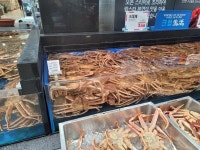 “한마리에 4만원”…‘반값 러시아산 대게’ 사러 대형마트 대게런｜동아일보 “한마리에 4만원”…‘반값 러시아산 대게’ 사러 대형마트... 