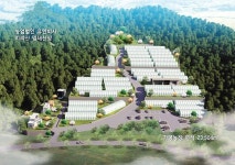 미래 영농사업으로 주목… 年 20% 수익 고부가가치 잎새산삼 농장｜동아일보 미래 영농사업으로 주목… 年 20% 수익 고부가가치 잎새산삼 농장