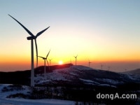 “해발 1140m서 첫 해를”… 삼양목장, 해돋이 행사 3년 만에 재개｜동아일보 “해발 1140m서 첫 해를”… 삼양목장, 해돋이 행사 3년 만에... 