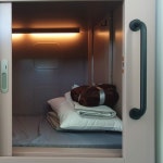 수면과 휴식 사이, 더캡슐 [바이브랜드]｜동아일보 수면과 휴식 사이, 더캡슐 [바이브랜드]